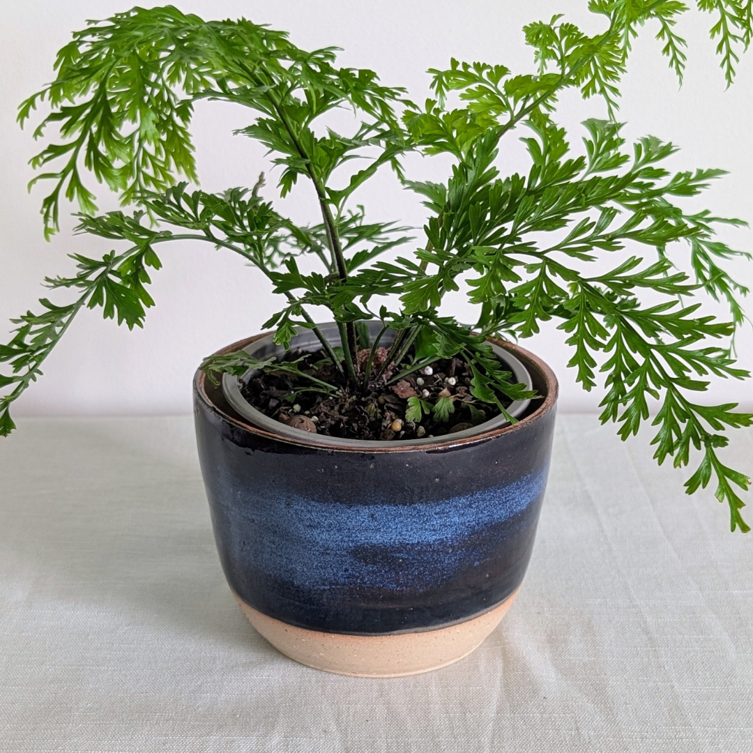 Midnight Pot
