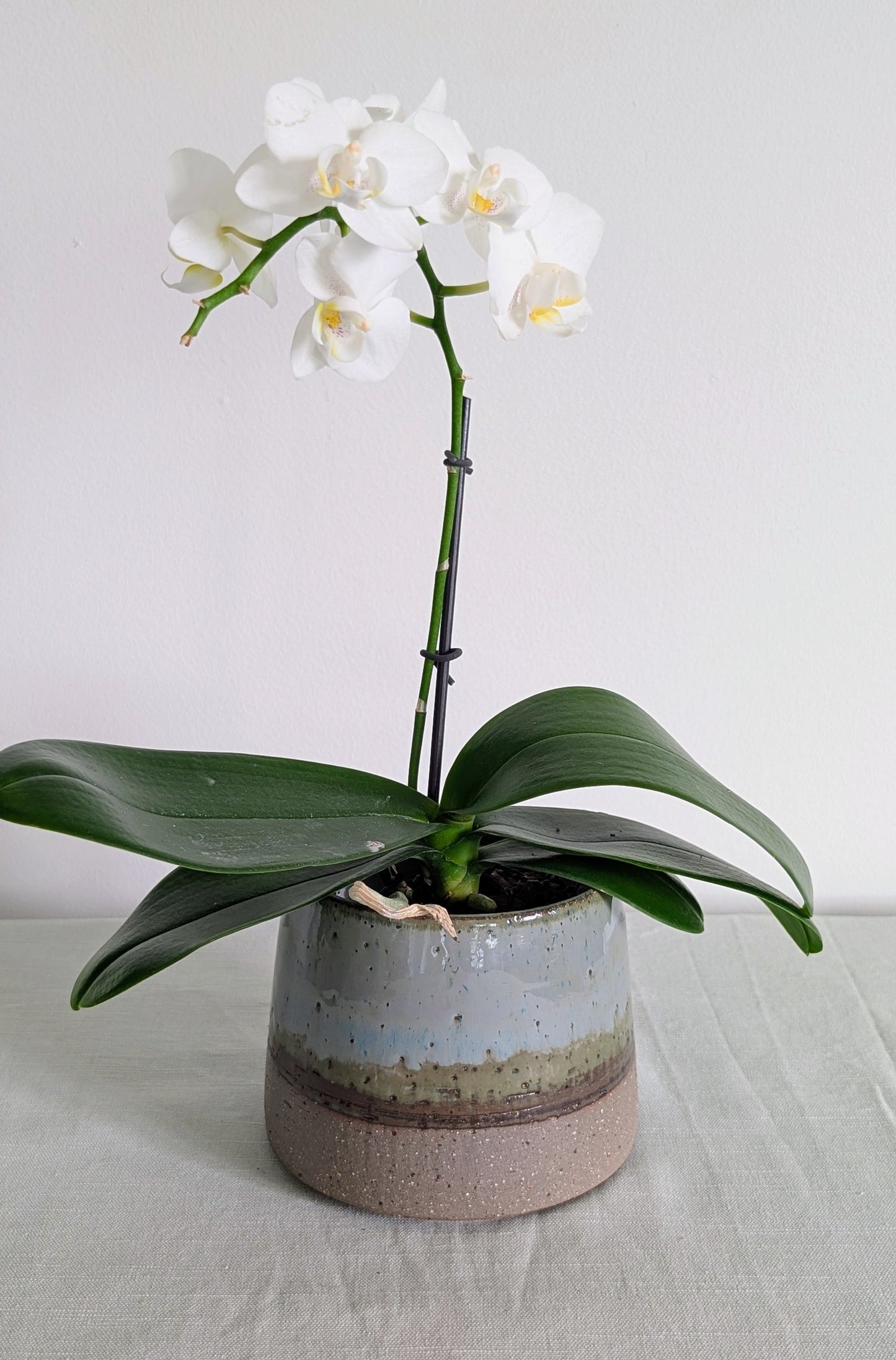 Landscape Pot